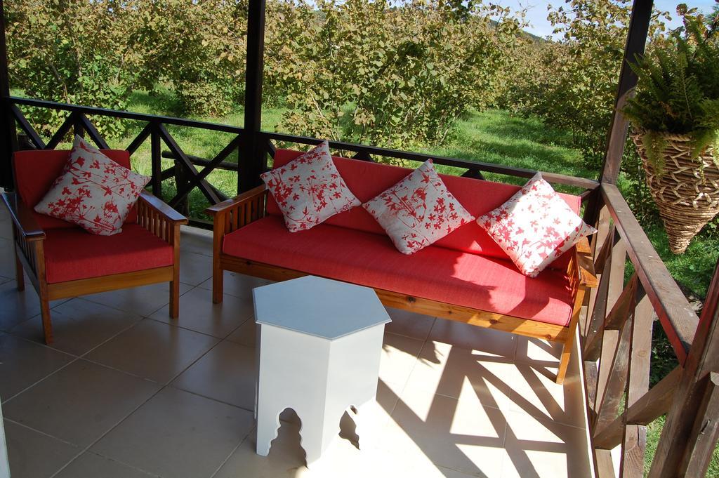 Agva Nehir Perisi Hotel Goce Kamer foto