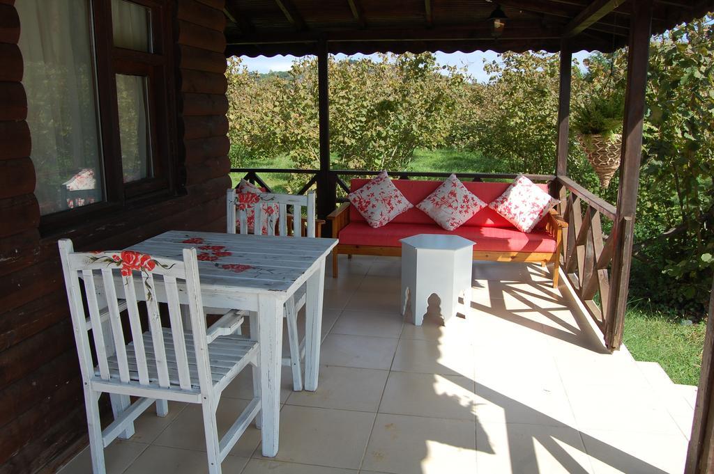 Agva Nehir Perisi Hotel Goce Kamer foto